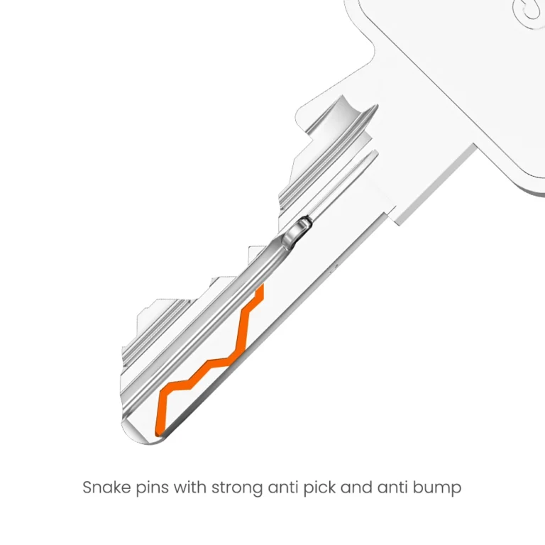 MASTER KEY SYSTEM LOCK CYLINDER WITH PATENTED MOVE ELEMENT AND SNAKE gallery image 1