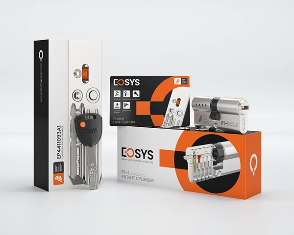 Professional service support for global lock hardware partners