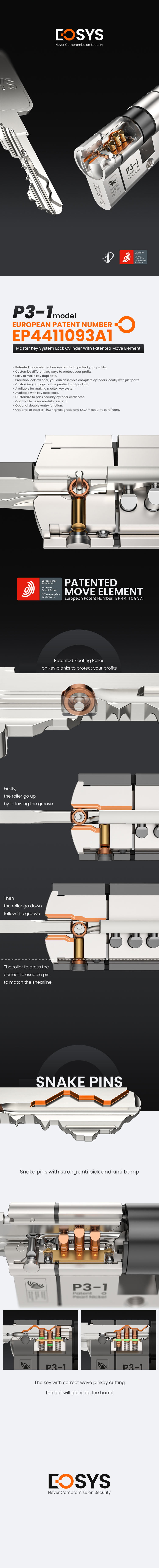 EOSYS P3-1 lock system with patented key technology.