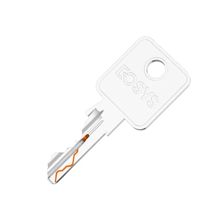 MASTER KEY SYSTEM LOCK CYLINDER WITH PATENTED MOVE ELEMENT AND SNAKE