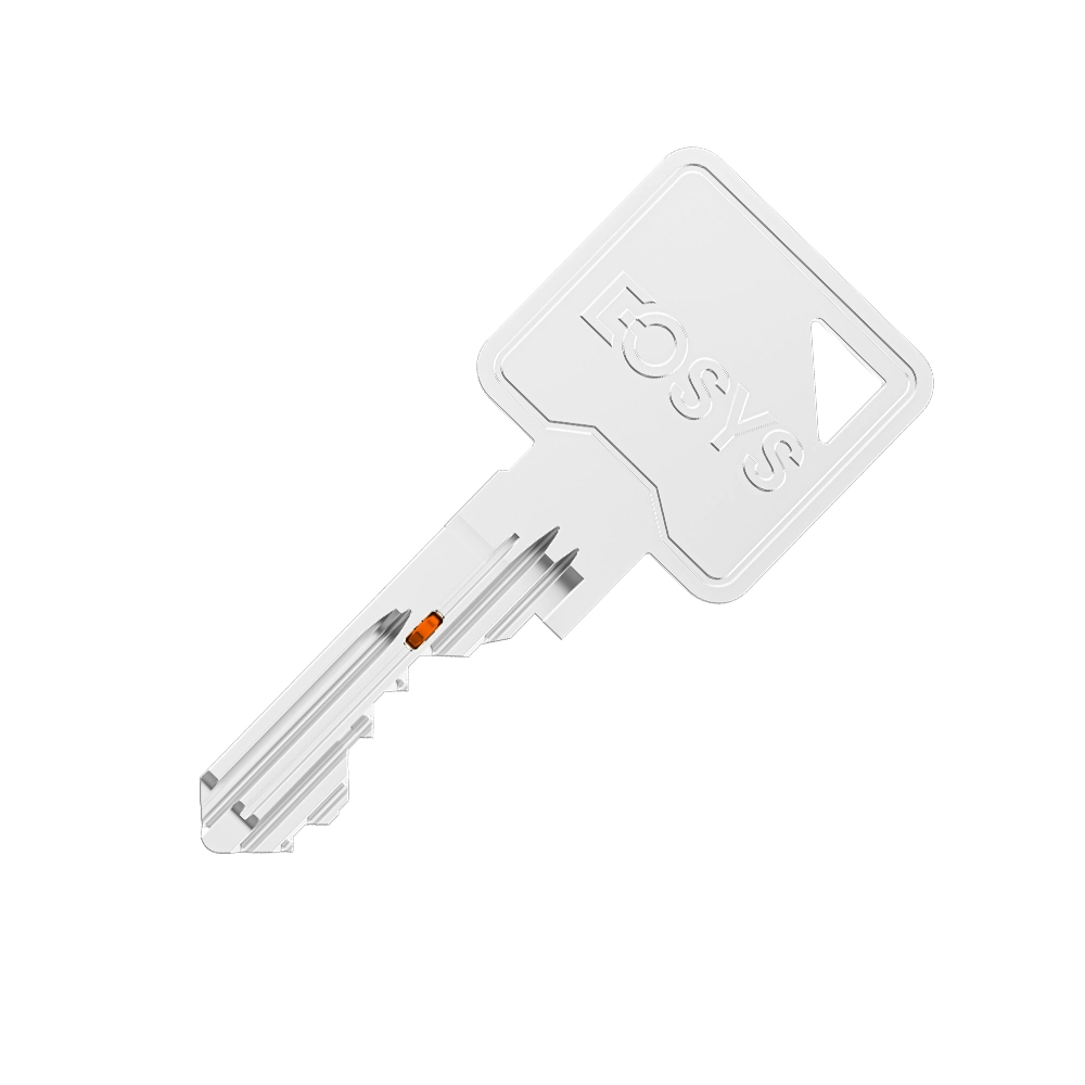 MASTER KEY SYSTEM LOCK CYLINDER WITH PATENTED MOVE ELEMENT