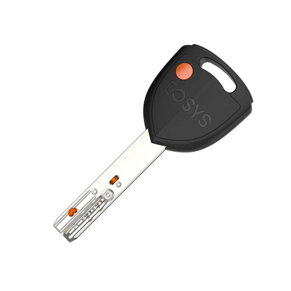 MOON SHAPE ACTIVE PINS AND PATENTED FLOATING ROLLER TELESCOPIC PIN LOCK CYLINDER
