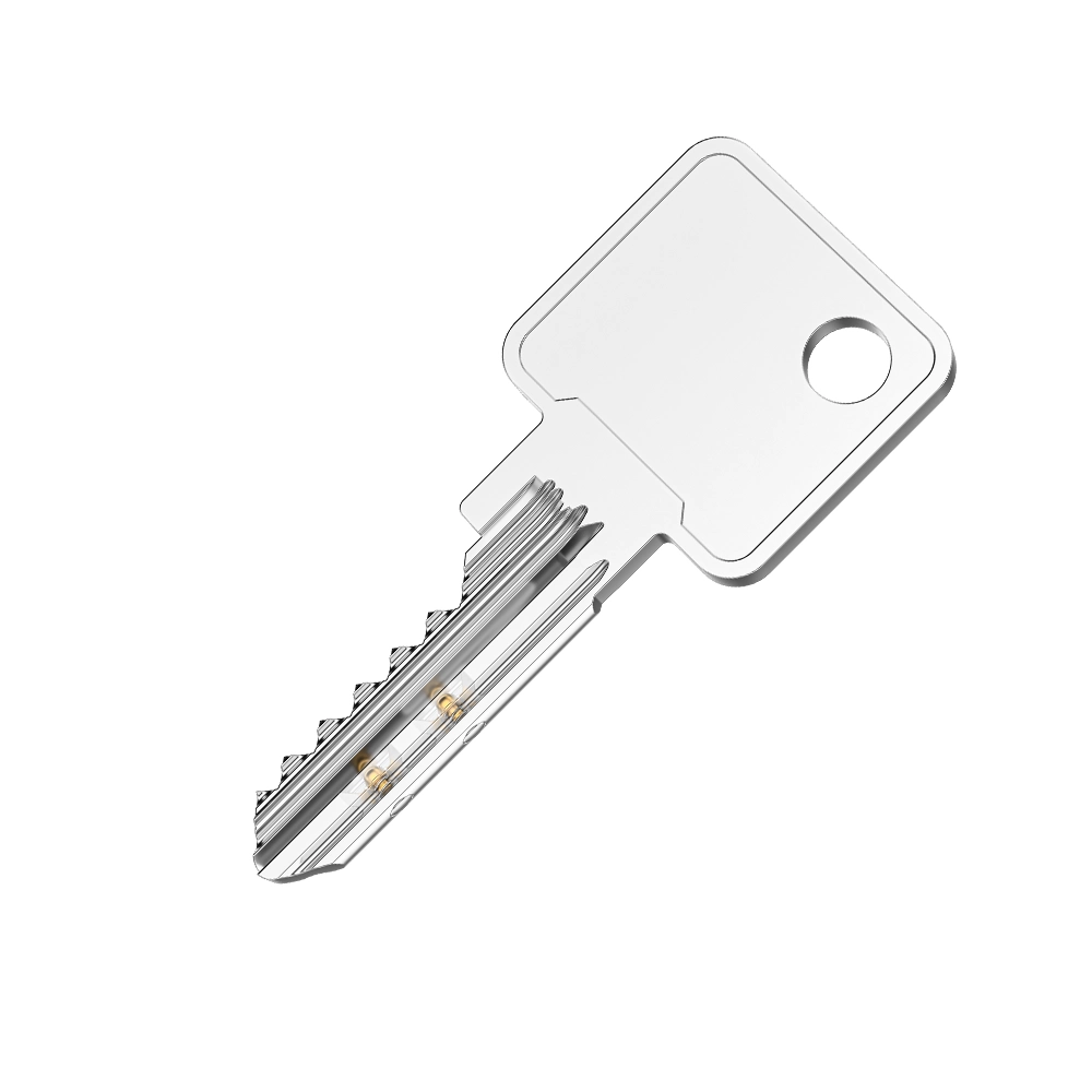 MASTER KEY SYSTEM LOCK CYLINDER WITH PATENTED MOVE ELEMENT AND PROTECTIVE UNDERCUT